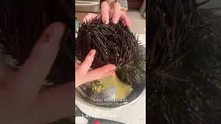 Open a sea urchin to serve out of the shell!