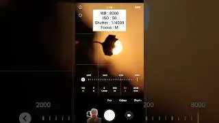 🤯Creative Macro Photo with Phone📱😳 #mobilephotography #phonephotography #trending #viral #shorts