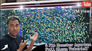 New Fishes Added After Deep Cleaning | Complete Aquarium Transformation | Beginner Aquarium Guide