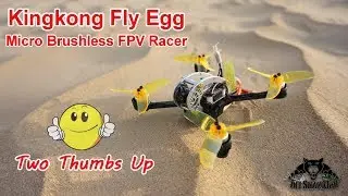 KingKong FlyEgg 130 Outdoor Flight Testing and FPV FreeStyling
