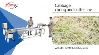 Commercial Cabbage Process Line - Coring, Sorting, Shredding