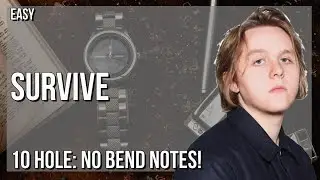 How to play Survive by Lewis Capaldi on Diatonic Harmonica 10 Holes (Tutorial)