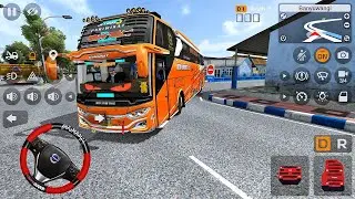 Bus Tam Tam Duta Sayur Trans Oleng Full Basuri 36 Corong Atas