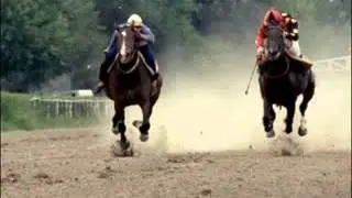 LOS MAJESTUOSOS DEL CHAMAME   LAS CUADRERAS