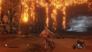 How to Beat Lady Butterfly