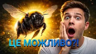 Цікаві факти про джмелів🐝#джміль #цікавіфакти #бомбідарій #пилок #гніздоджмеля