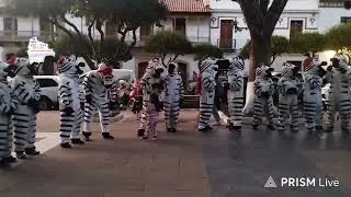LAS CEBRITAS DEMUESTRAN SU ESPÍRITU NAVIDEÑO EN PLAZA 25 DE MAYO.