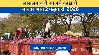 लासलगाव बाजार समिती आजचे कांदा बाजारभाव Lasalgaon Onion Market Rate Today फेब्रुवारी 2026