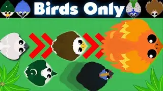 BIRDS ONLY CHALLENGE In Mope.io