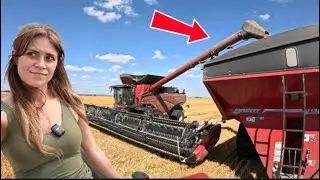Farm Wife Takes on North Dakota Wheat Harvest
