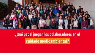 ¿Cómo motivar a tus colaboradores a cuidar el medio ambiente?