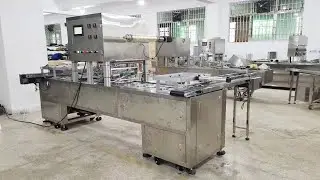 Linear type two lanes cups tray roll film heat sealing MC for Greek customer &mu;&eta;&chi;&alpha;&nu;ή &sigma;&phi;&rho;ά&gamma;&iota;&sigma;&eta;&sigmaf; &delta;ί&sigma;&kappa;&omega;&nu;