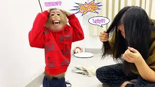 Who are you??? Lyly the monkey mistook her mother for a stranger and, confused, moved away.