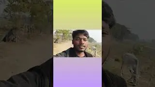 SUBHA BHAI RA BARI KAM😁#shortvideo #shortsfeed #yiutubeshort #shorts #vlog