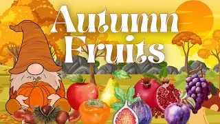 Autumn Fruits | Fruits names in English | English Vocabulary for Kids
