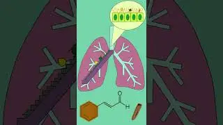 Effects of Vape on Body | ویپ کوجسم پر اثر