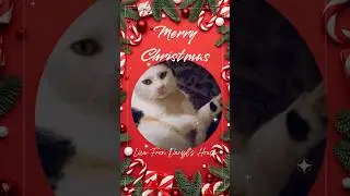 Merry Christmas 🧑&zwj;🎄❤️ #darylhall #livefromdarylshouse #homeforchristmas