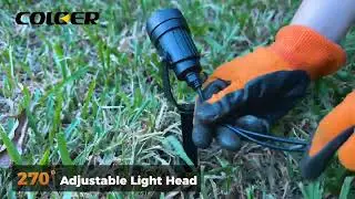 Upgrade Your Yard Instantly | COLOER All-in-One Low Voltage Landscape Lighting Kit