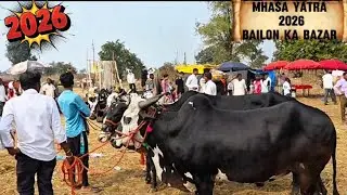 Mhasa yatra murbad 2026 (bailon ki market)  म्हसा यात्रा मुरबाड.2026.thane zila sabse badi yatra