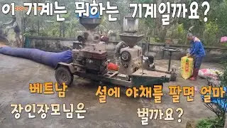 설때 베트남 장모님, 장인어른은 이렇게 하루 채소를 팔면 얼마 벌까요?