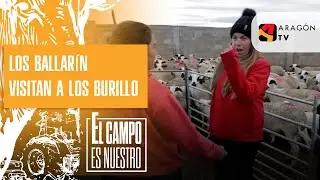 Los Burillo reciben la visita de los Ballarín.