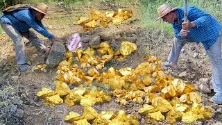 Look for the gold nuggets at the ancient mountain - gold mining and found a lot of gold