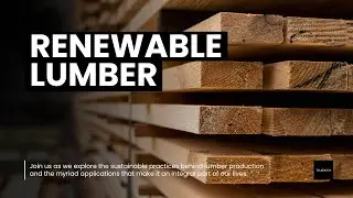 Nature's Blueprint: A Story of Sustainable Lumber Production