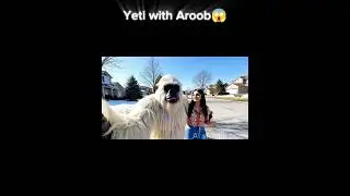 Yeti new vlog with Aroob as Ducky Bhai retires 🤪 #duckybhai #ducky #aroobjatoi #yeti #eiduladha