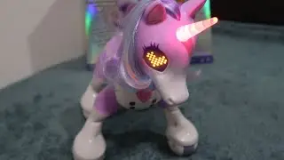 Zoomer Unicorn!!!