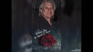 @steveperrymusic #steveperry #angeleyes #video by Angela 🎬