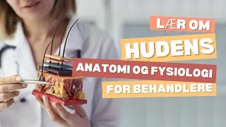 Hudens spændende anatomi og fysiologi. Alt om hud, hår og negle.