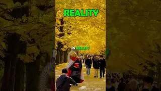 Places in Japan you won't believe really exists✈️