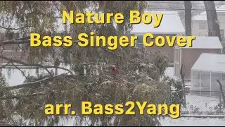 Nature Boy | Bass Singer Cover | Nat King Cole | eden ahbez | Bass2Yang