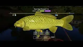 Russian Fishing 4 2026 01 22   20 47 21 04