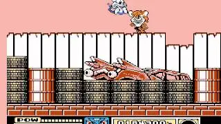 [TAS] [Obsoleted] NES Tiny Toon Adventures by Randil in 12:10.87