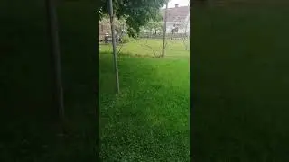 Morske Alge za lepo trato (BREZ NPK za travo)