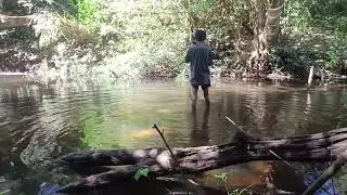 เข้าป่า