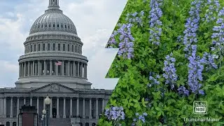 Tour of United States Botanic Garden