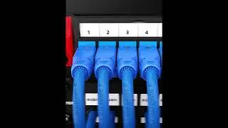 AMPCOM Tool-Free RJ45 Connector CAT6 | Fast Installation Without Crimping Tools