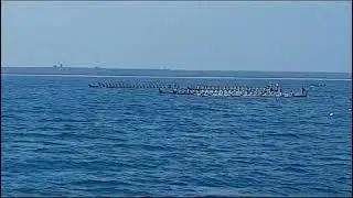 Maliku cultural Day ( Maliku Sagaafi Dhuvas)