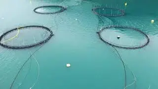 aerial footage farm salmon fishing in norway norway is the biggest producer of farmed