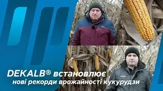 DEKALB® встановлює нові рекорди врожайності кукурудзи