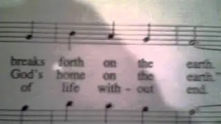 harmony nativity.MOV