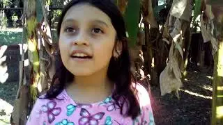 la selva embrujada parte 1