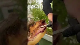 ASMR PATA NEGRA #patanegra