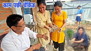 Litle Bit Flower Planting and Showing Hand Nepal Life Style Vlog MrMin