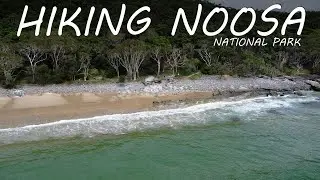 Hiking Noosa National Park's Coastal Walk Carrying 3 Kids Sunshine Coast | Three Under Two - Ep279