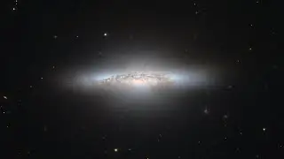 Space Ambient Jungle | 1 Hour Atmospheric Mix