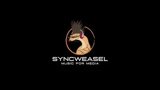 SyncWeasel Promo Video