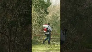 Tame Your Yard with This 2-in-1 Mosquito Fogger and Leaf Blower!